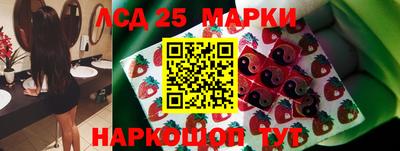 стаф Кандалакша