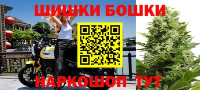 стаф Кандалакша