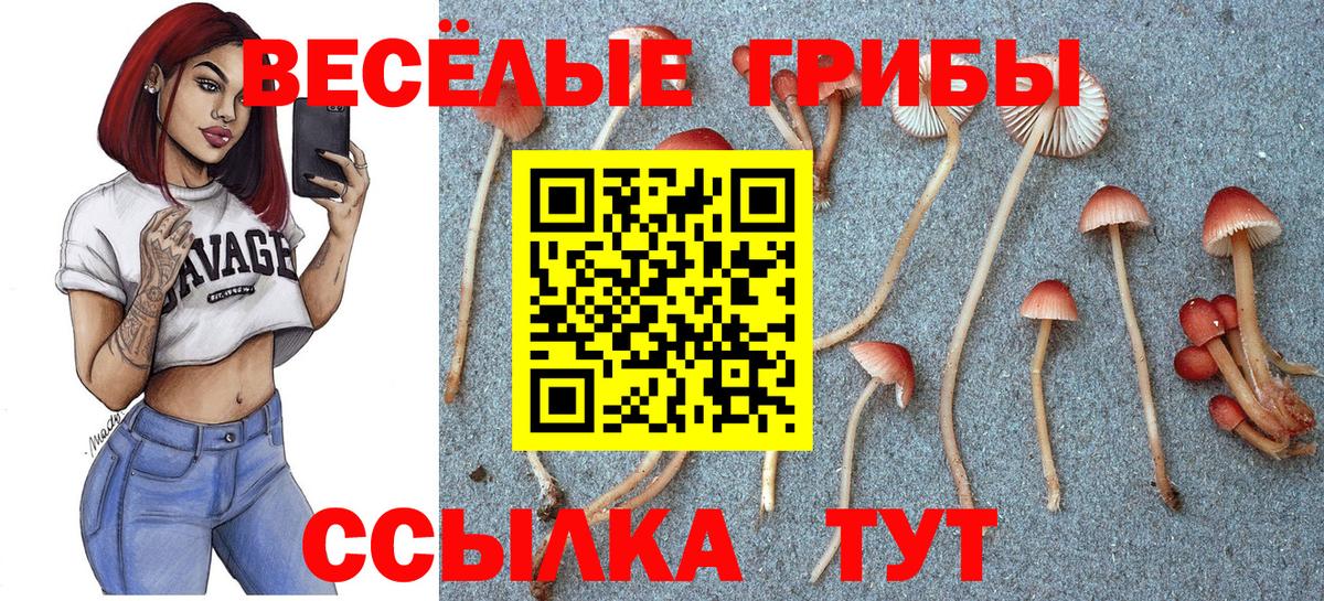 Псилоцибиновые грибы Magic Shrooms Луга